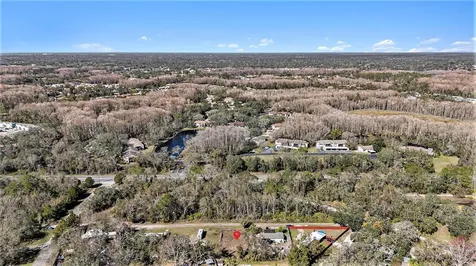 Polo Street New Port Richey FL 34654