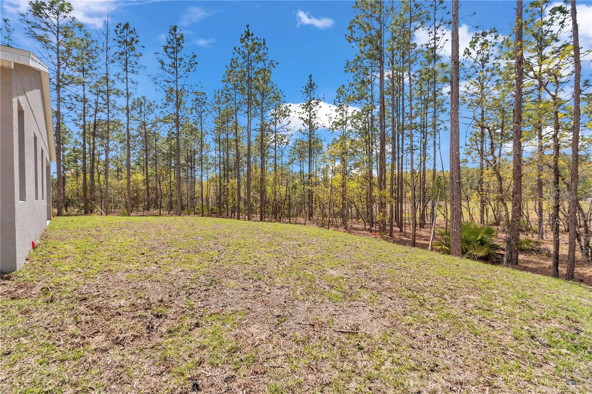 7542 SW 128 Terrace Road Dunnellon FL 34432