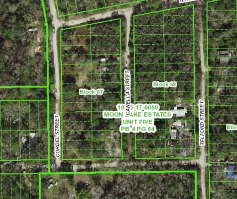 Canella Street New Port Richey FL 34654