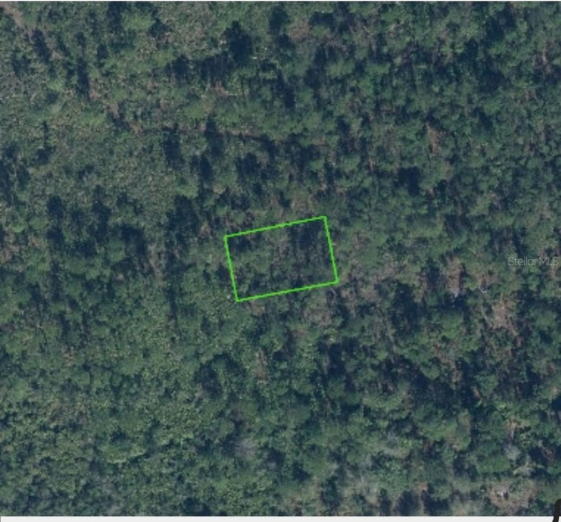 4401 Obispo Avenue Sebring FL 33872
