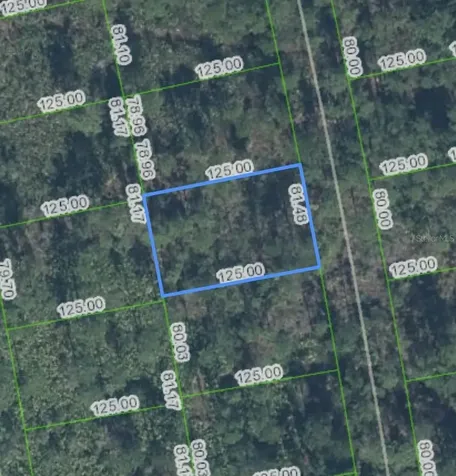 4401 Obispo Avenue Sebring FL 33872
