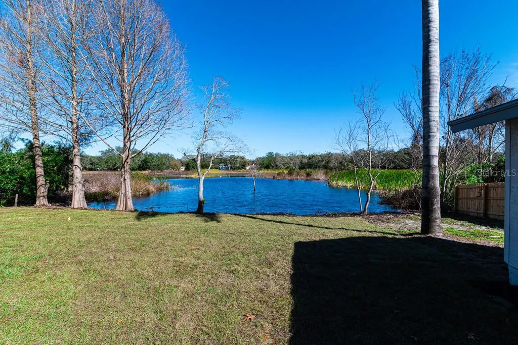 11416 Pine Forest Drive New Port Richey FL 34654