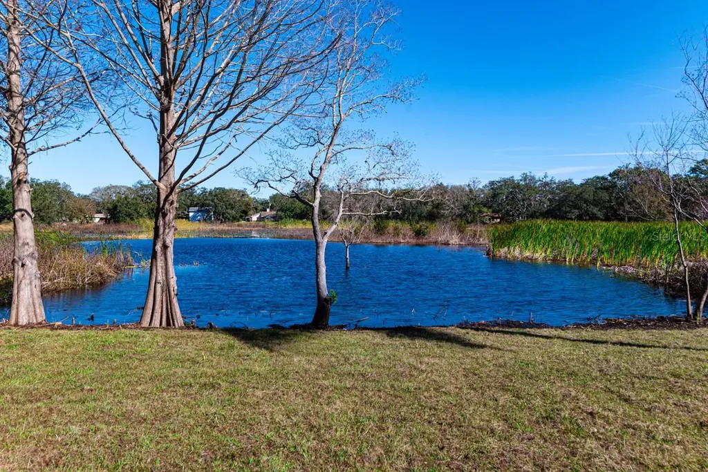 11416 Pine Forest Drive New Port Richey FL 34654