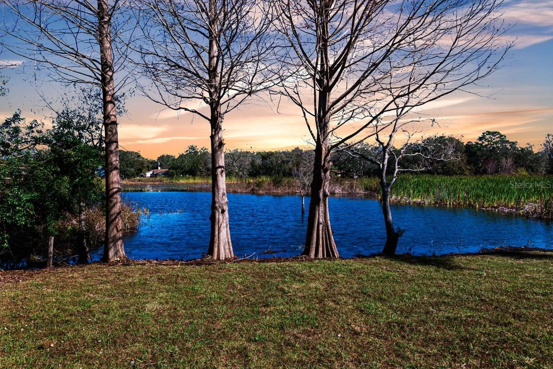 11416 Pine Forest Drive New Port Richey FL 34654