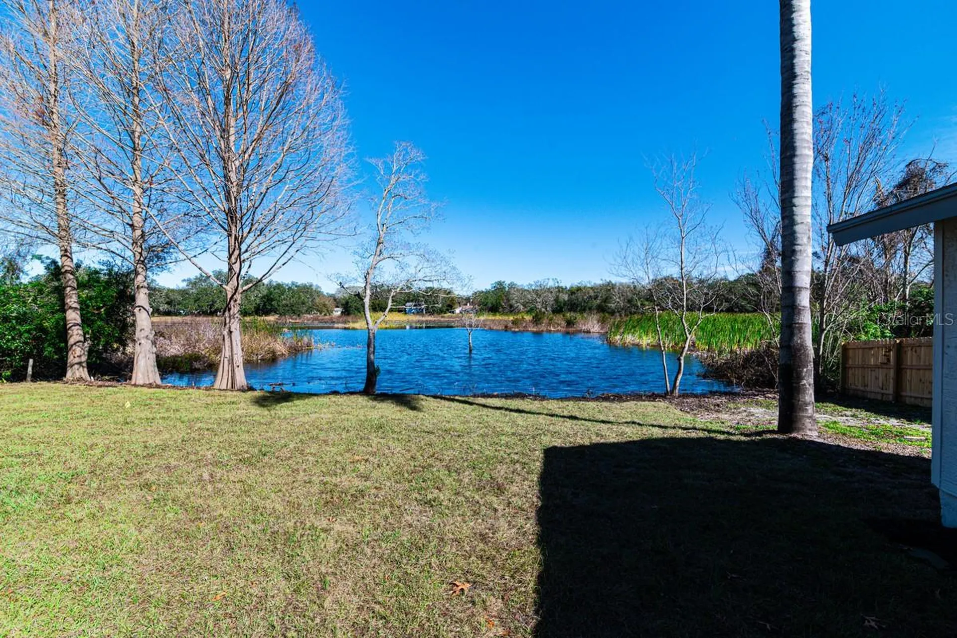 11416 Pine Forest Drive New Port Richey FL 34654