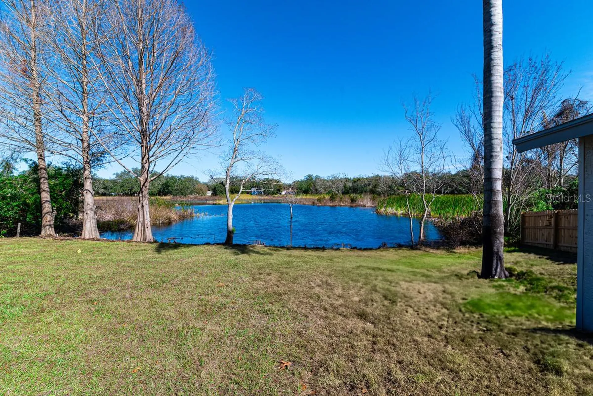 11416 Pine Forest Drive New Port Richey FL 34654