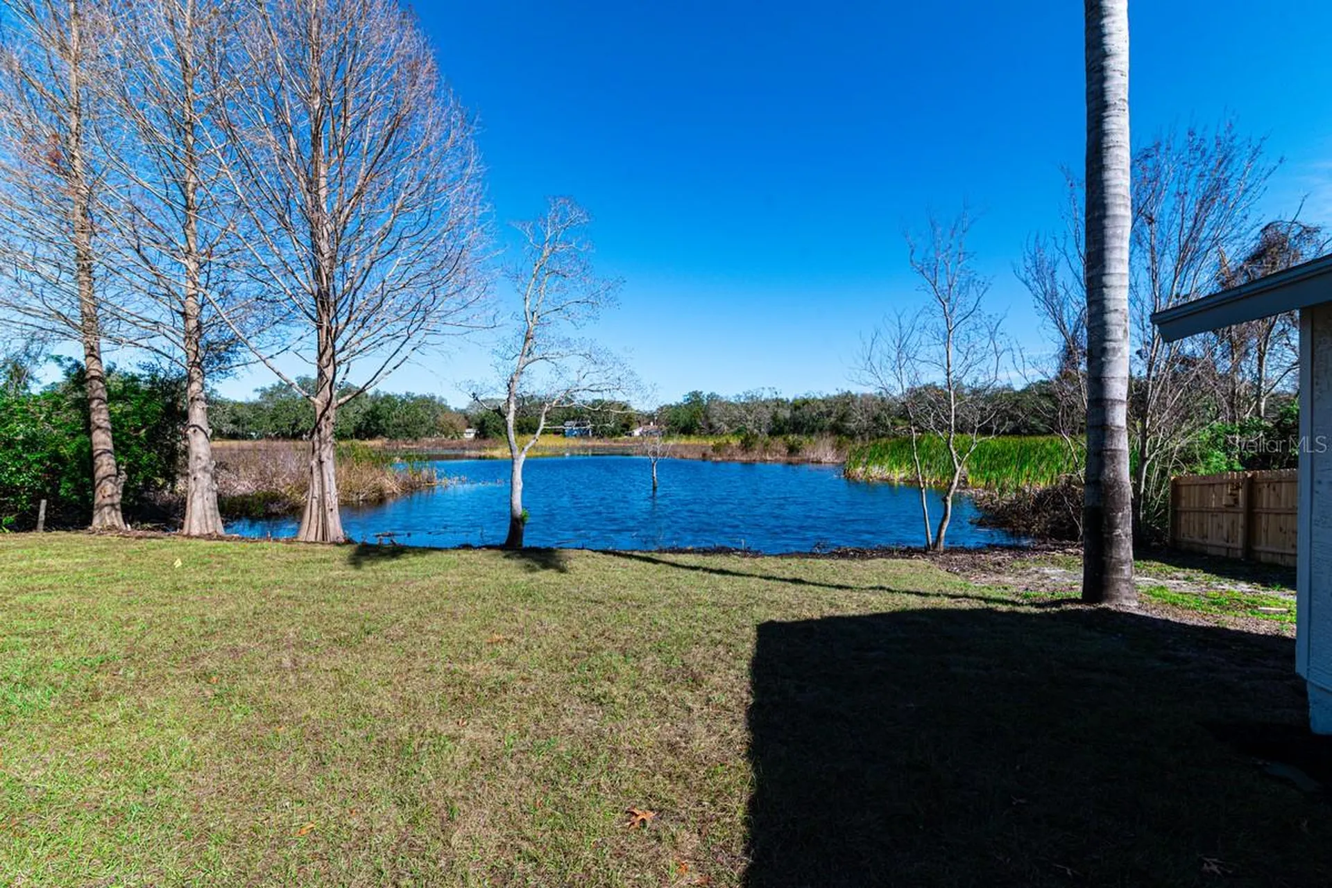 11416 Pine Forest Drive New Port Richey FL 34654