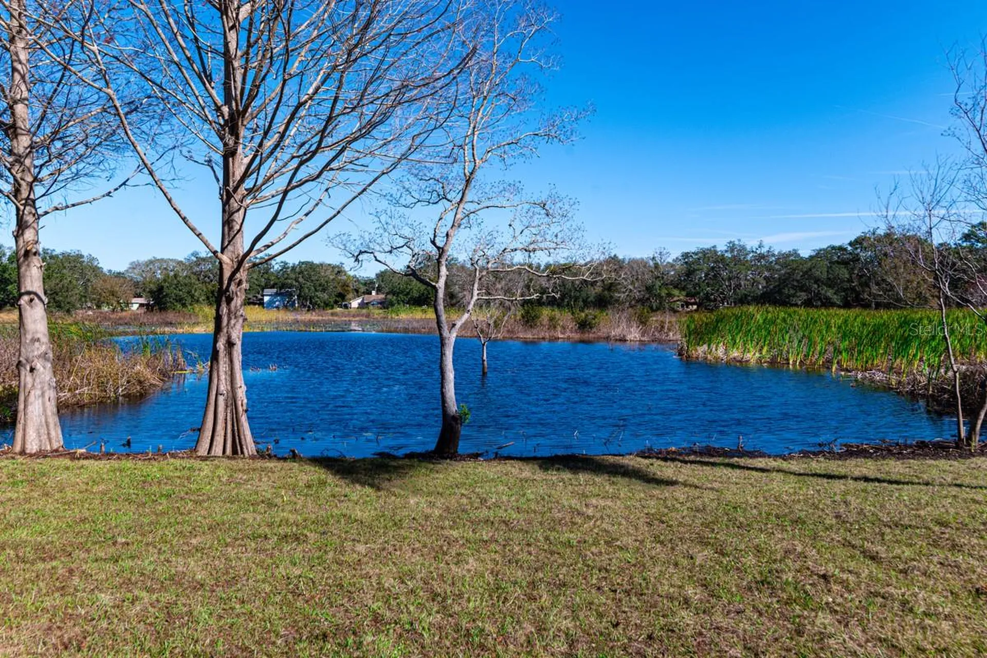 11416 Pine Forest Drive New Port Richey FL 34654