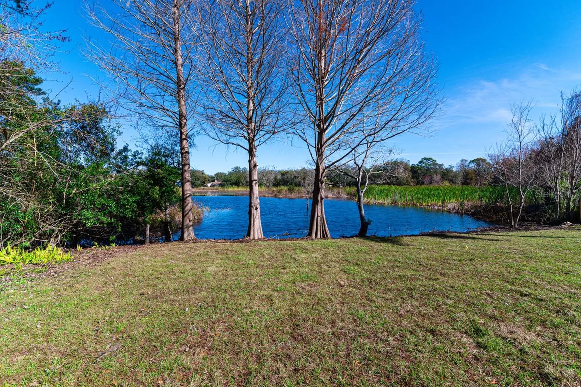 11416 Pine Forest Drive New Port Richey FL 34654