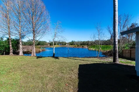11416 Pine Forest Drive New Port Richey FL 34654
