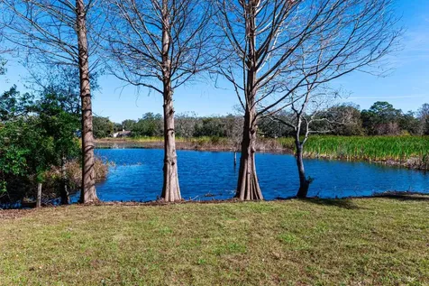 11416 Pine Forest Drive New Port Richey FL 34654