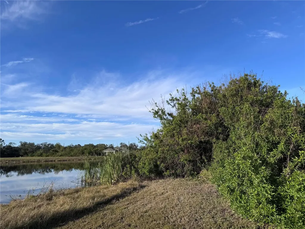 216 Antilla Drive Rotonda West FL 33947