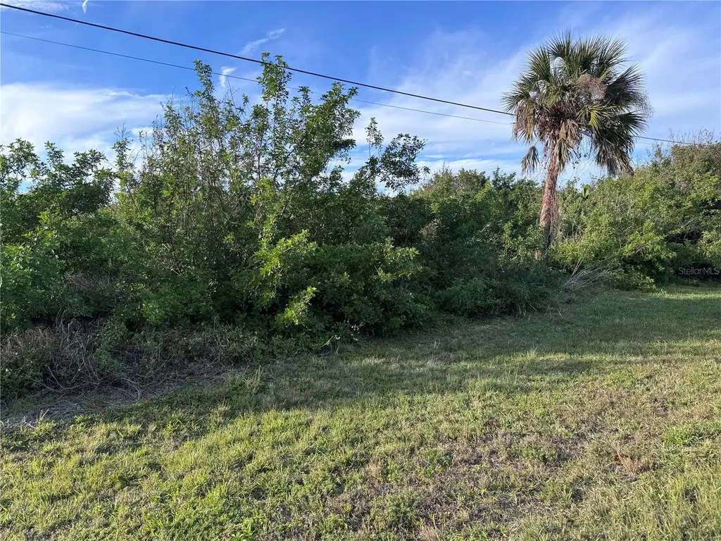 216 Antilla Drive Rotonda West FL 33947