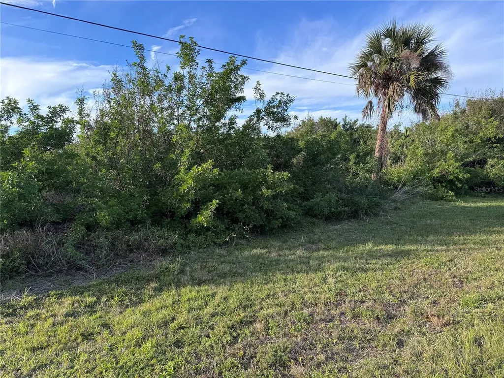 216 Antilla Drive Rotonda West FL 33947