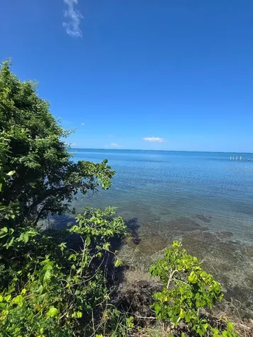 Bo Guanajibo Carr 102 Cabo Rojo PR 00623