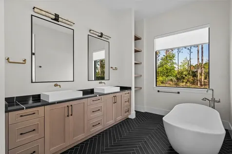 16902 Vinci Way Montverde FL 34756
