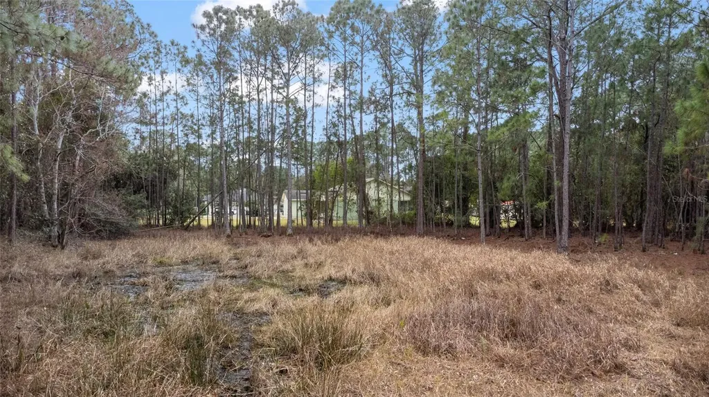 Sanctuary Avenue Debary FL 32713