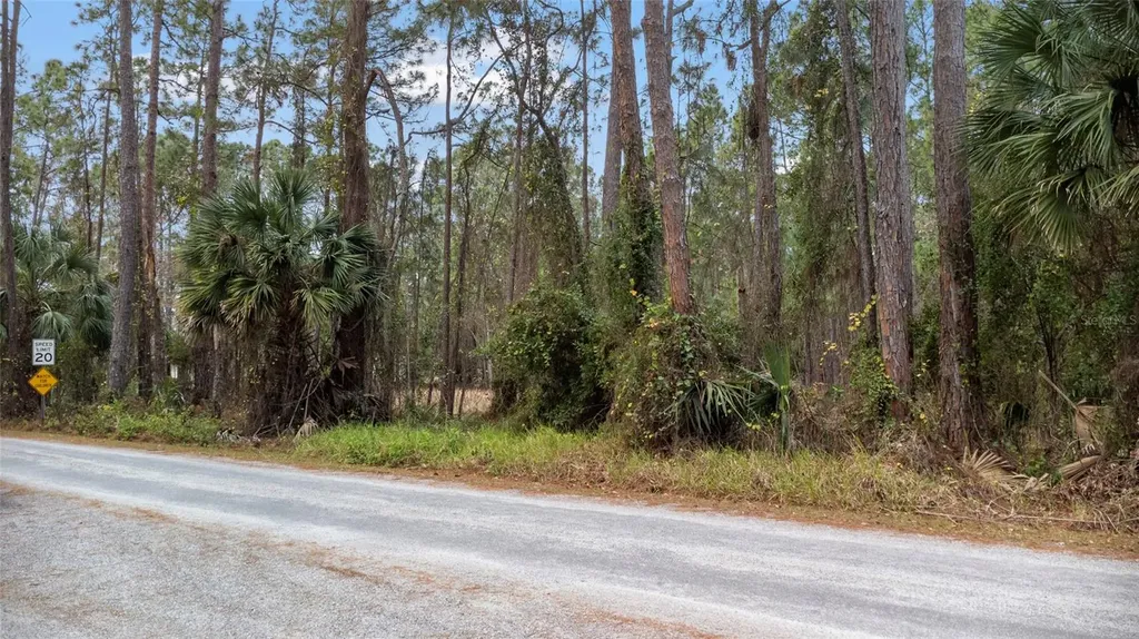 Sanctuary Avenue Debary FL 32713