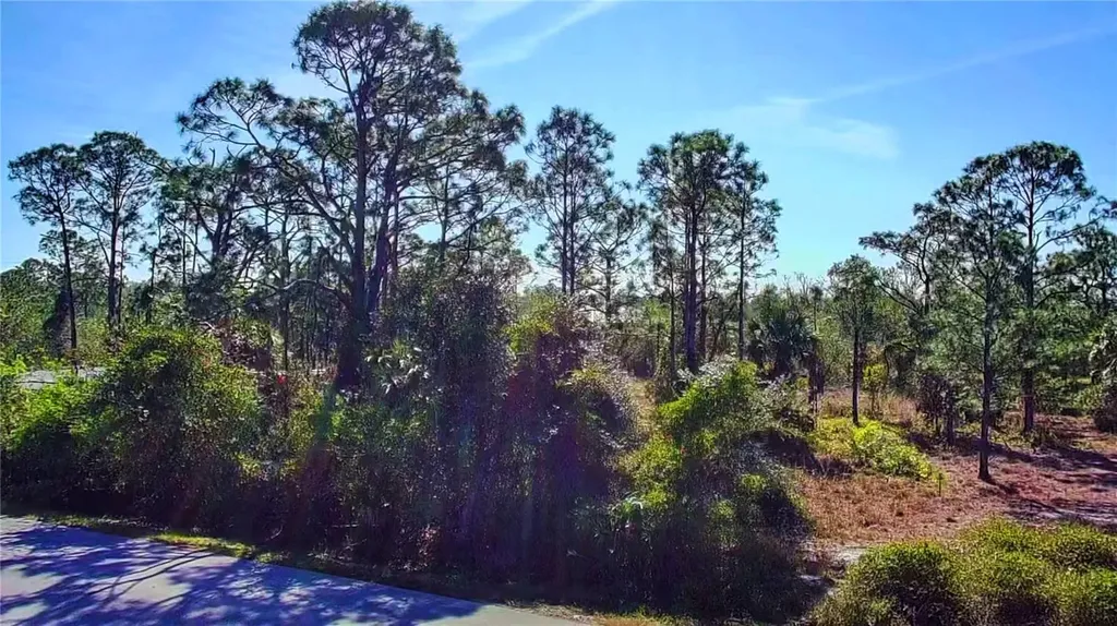 27051 Capistrano Drive Punta Gorda FL 33955