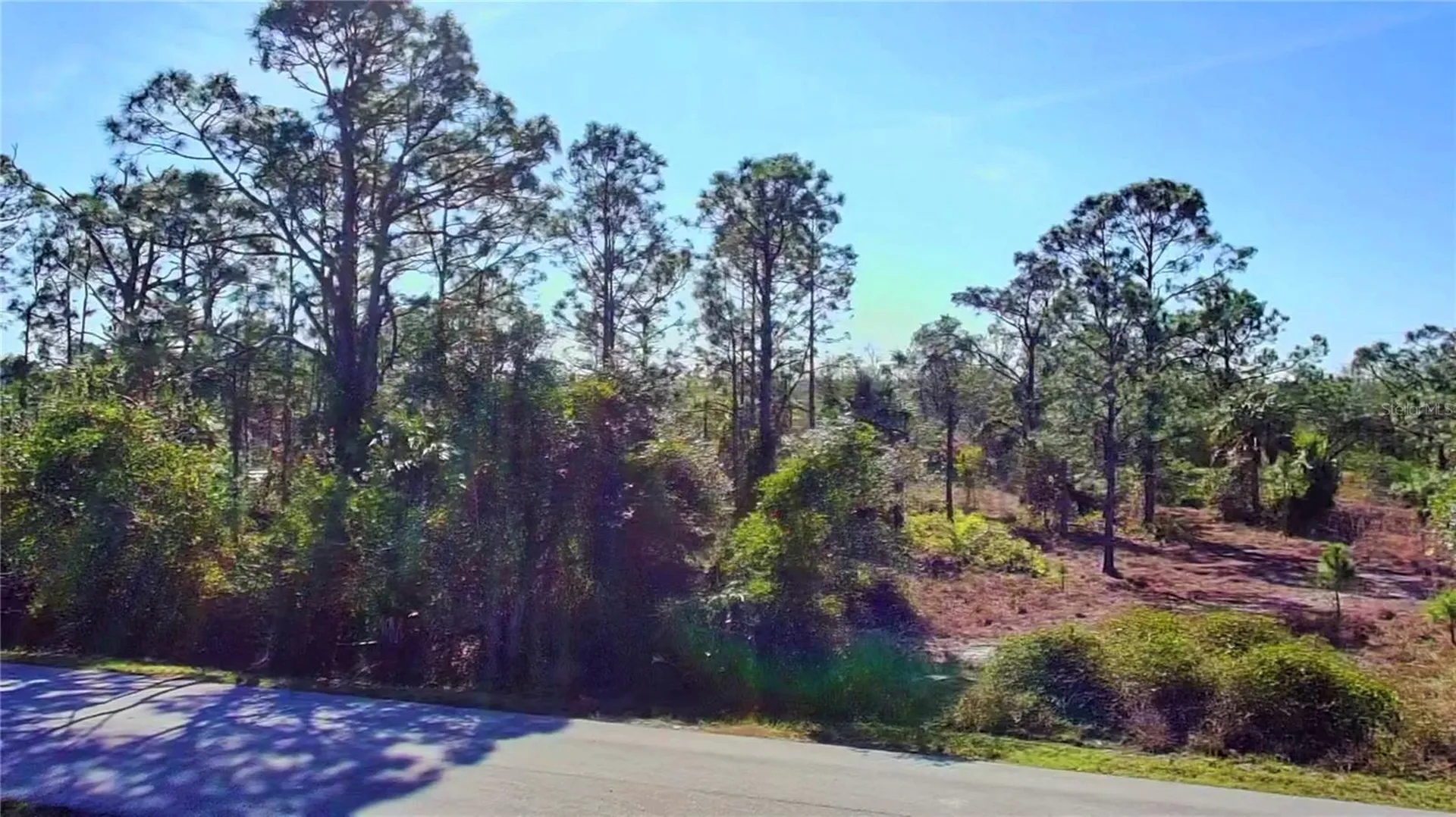 27051 Capistrano Drive Punta Gorda FL 33955
