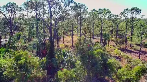 27051 Capistrano Drive Punta Gorda FL 33955