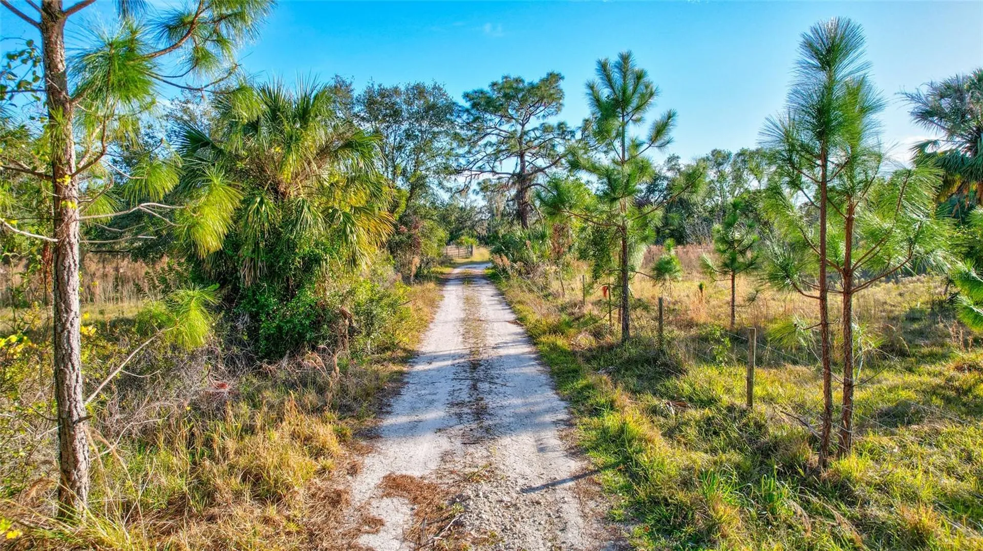 8330 Linger Lodge Road Bradenton FL 34202