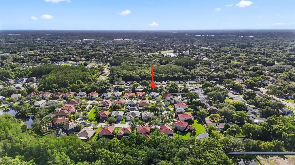 12833 Darby Ridge Drive Tampa FL 33624