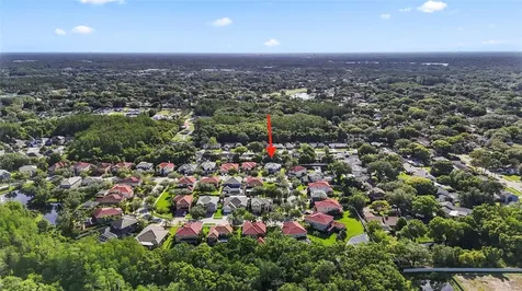 12833 Darby Ridge Drive Tampa FL 33624