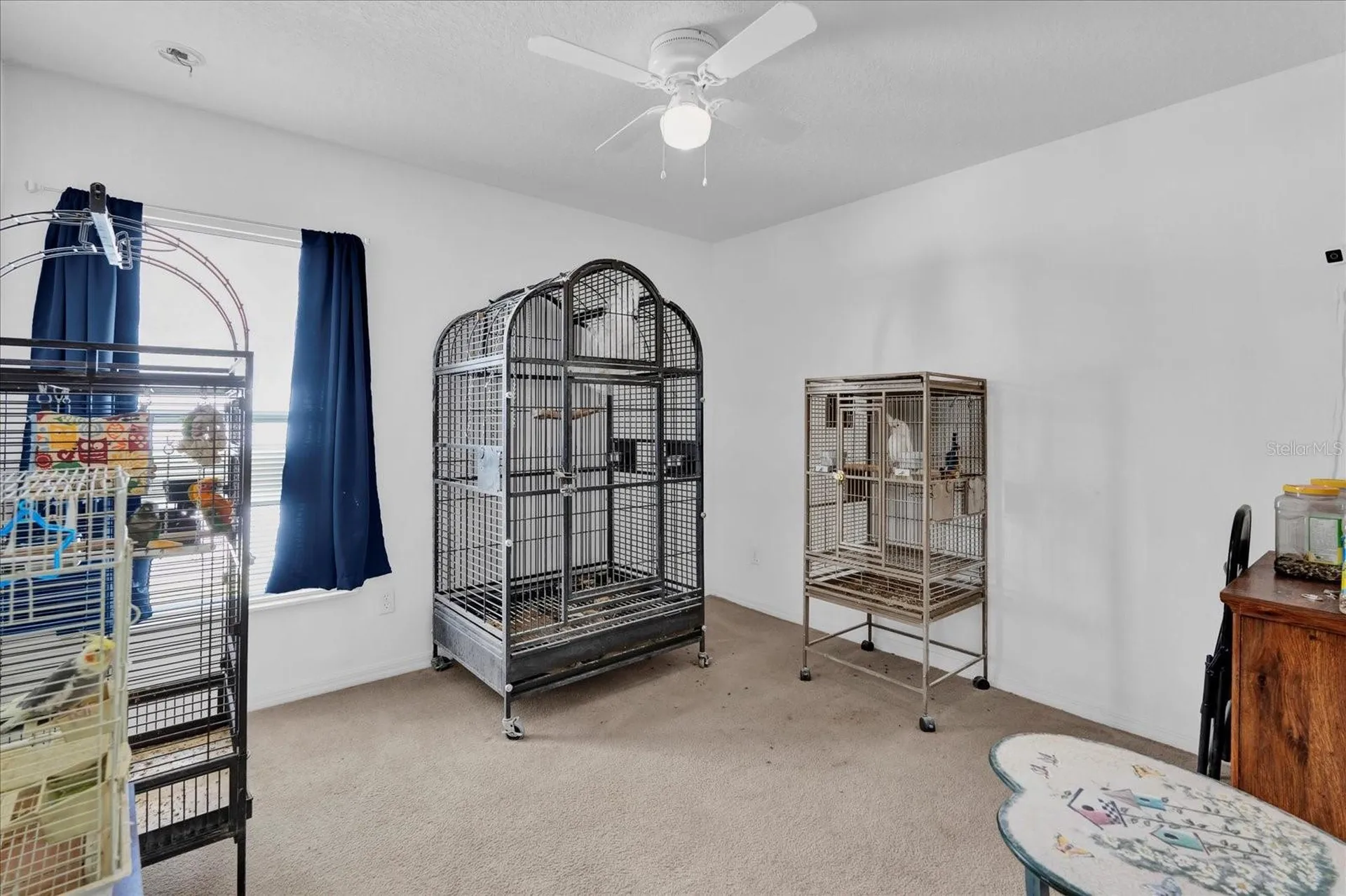 4702 Ashurst Street Kissimmee FL 34758