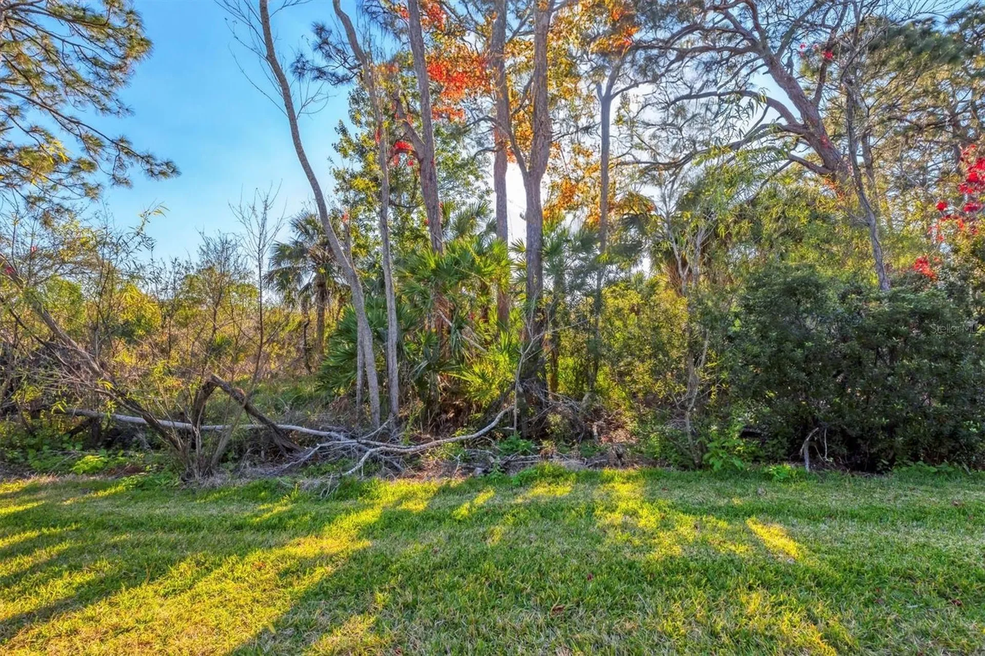 1584 Monarch Drive Venice FL 34293