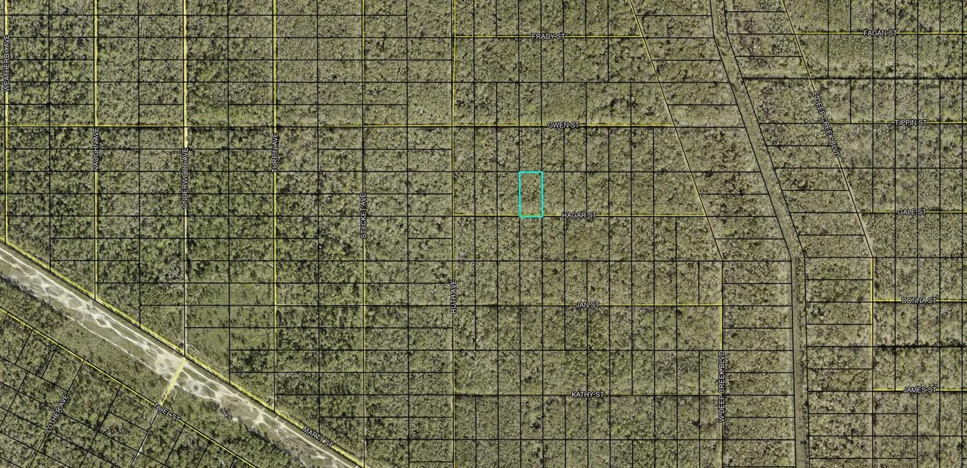 Xx Hagar Street Street Hastings FL 32145