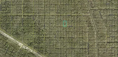 Xx Hagar Street Street Hastings FL 32145
