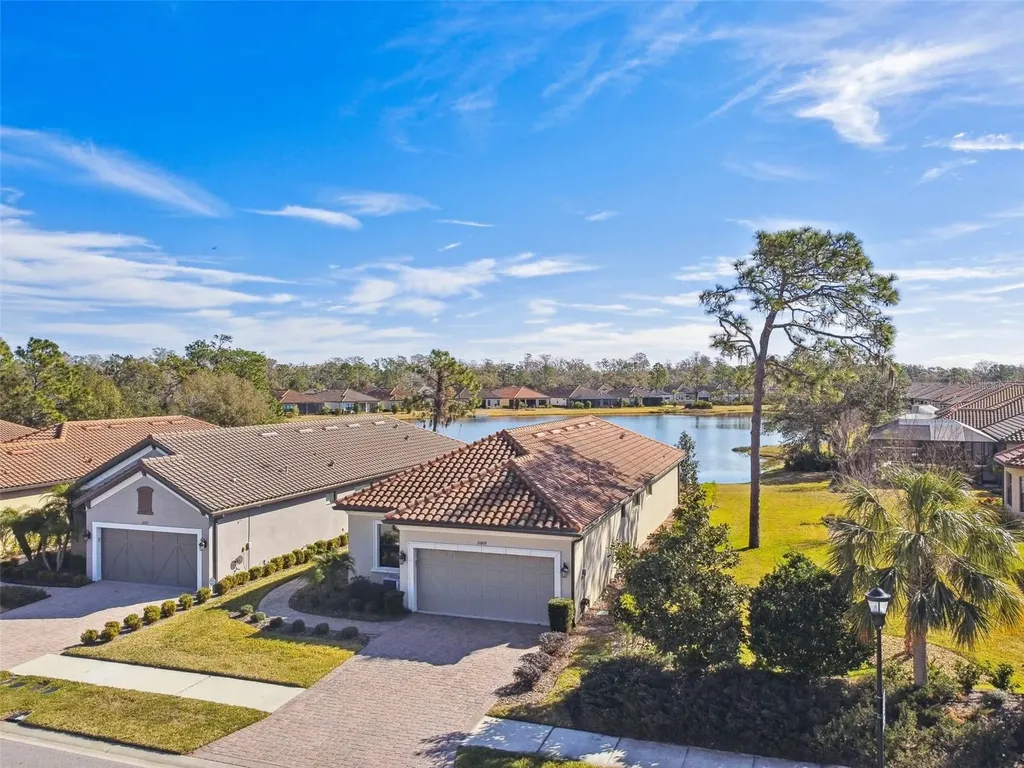 20109 Sorano Hill Place Tampa FL 33647