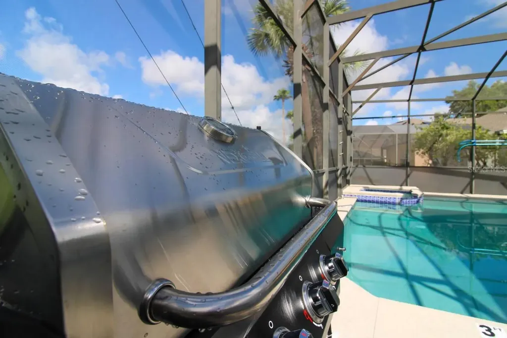 219 Plumoso Loop Davenport FL 33897