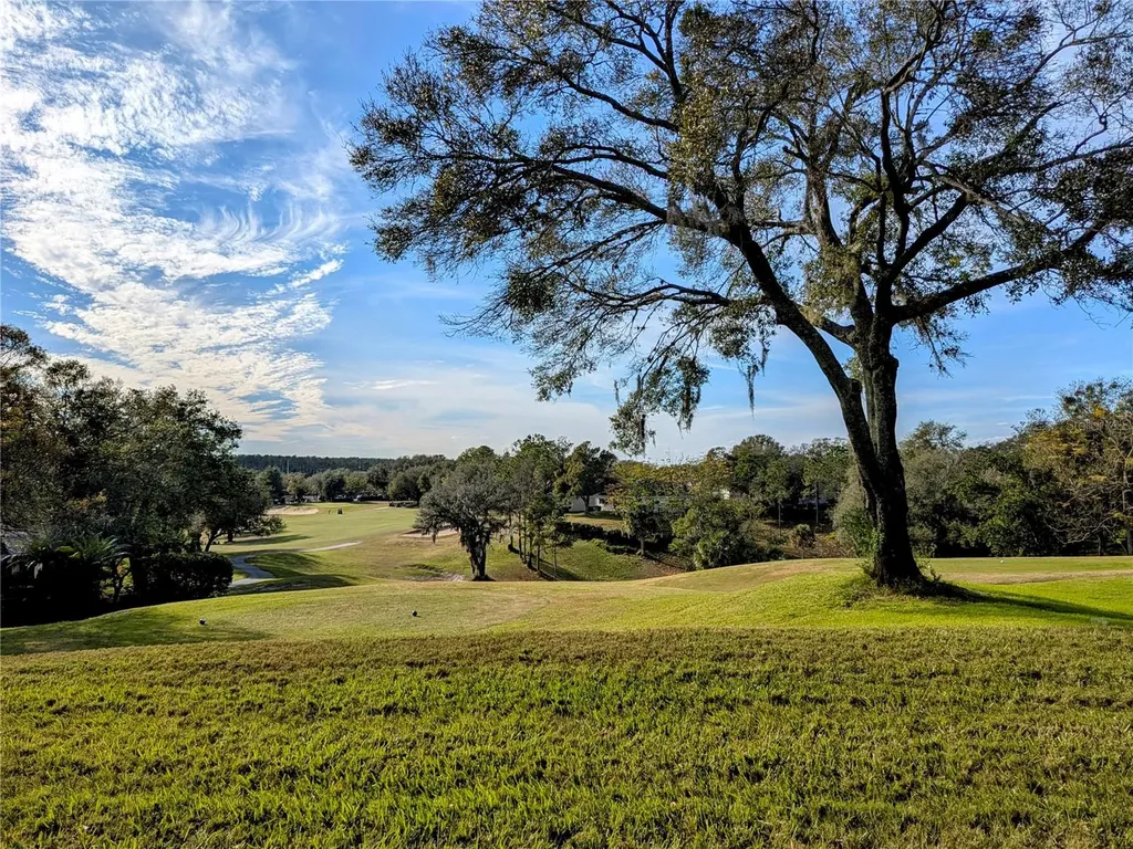 3667 Kingswood Court Clermont FL 34711