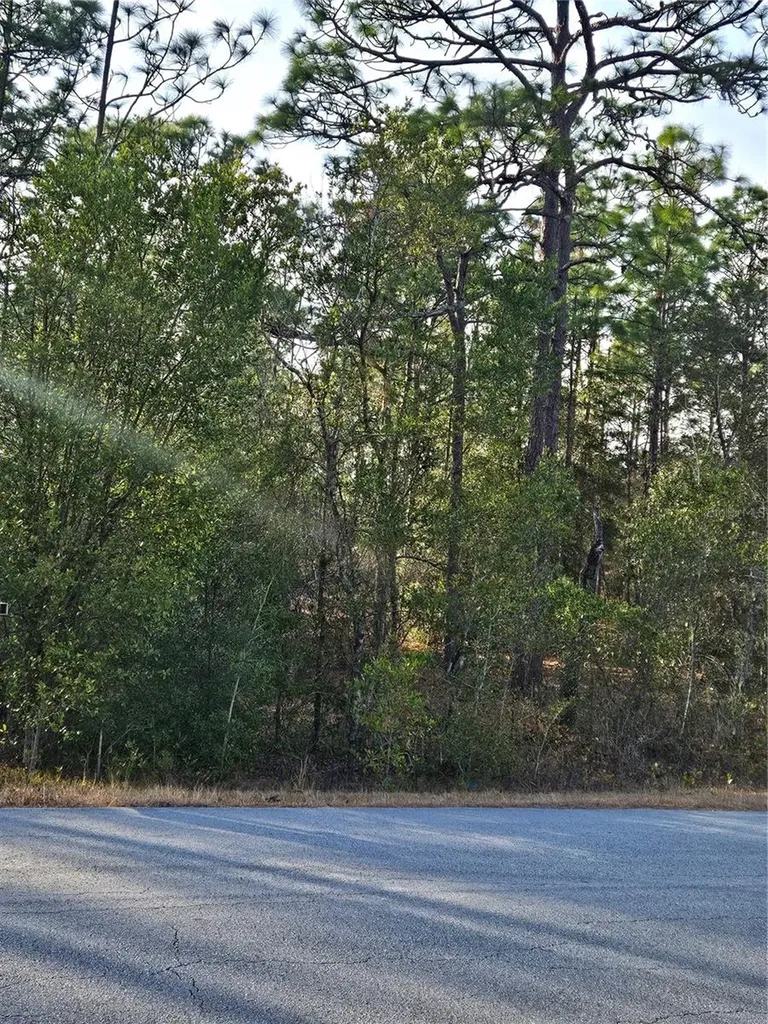SW Admiral Landing Drive Dunnellon FL 34431