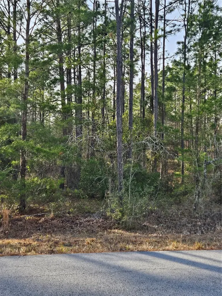 SW Admiral Landing Drive Dunnellon FL 34431