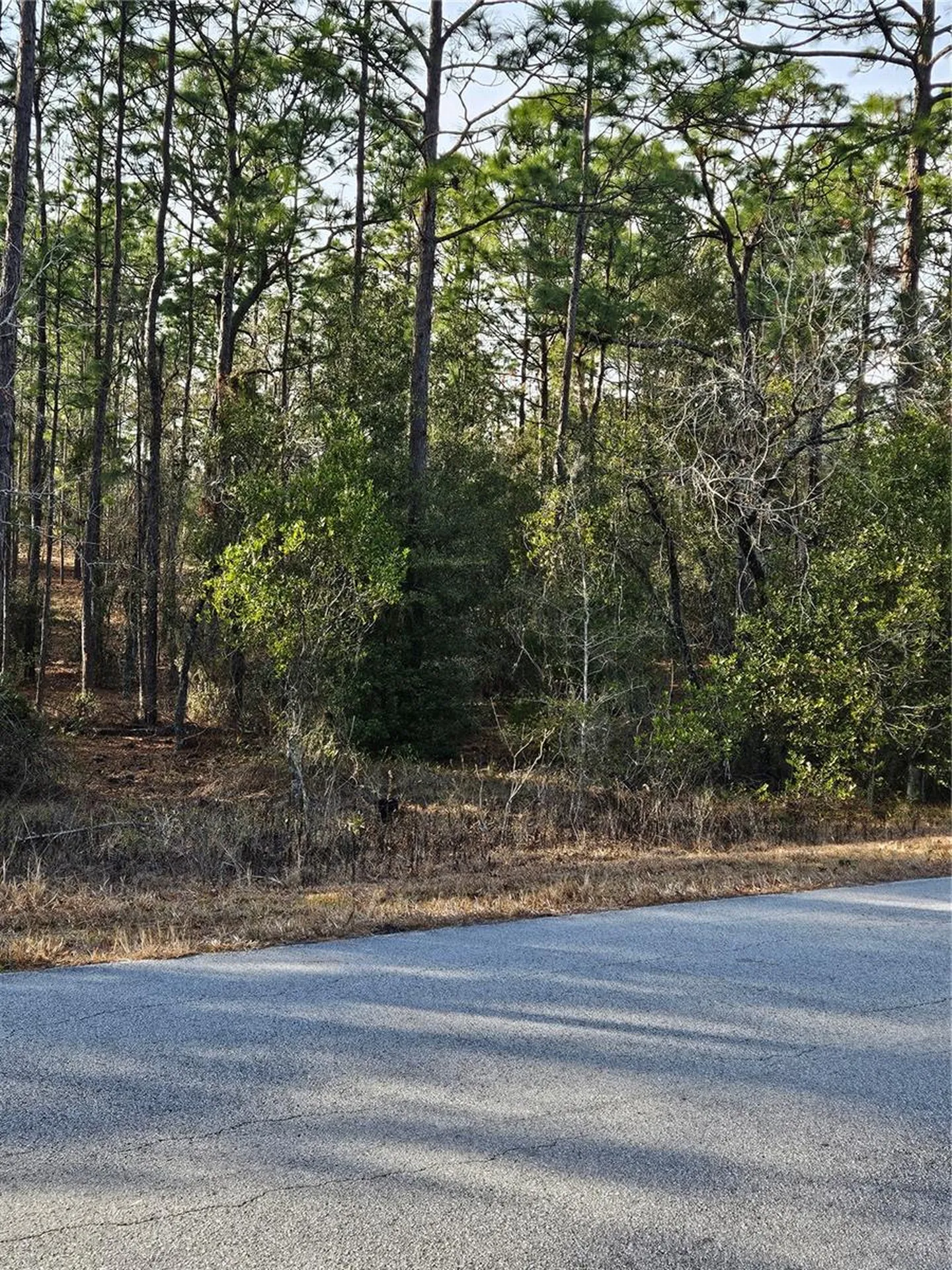 SW Admiral Landing Drive Dunnellon FL 34431