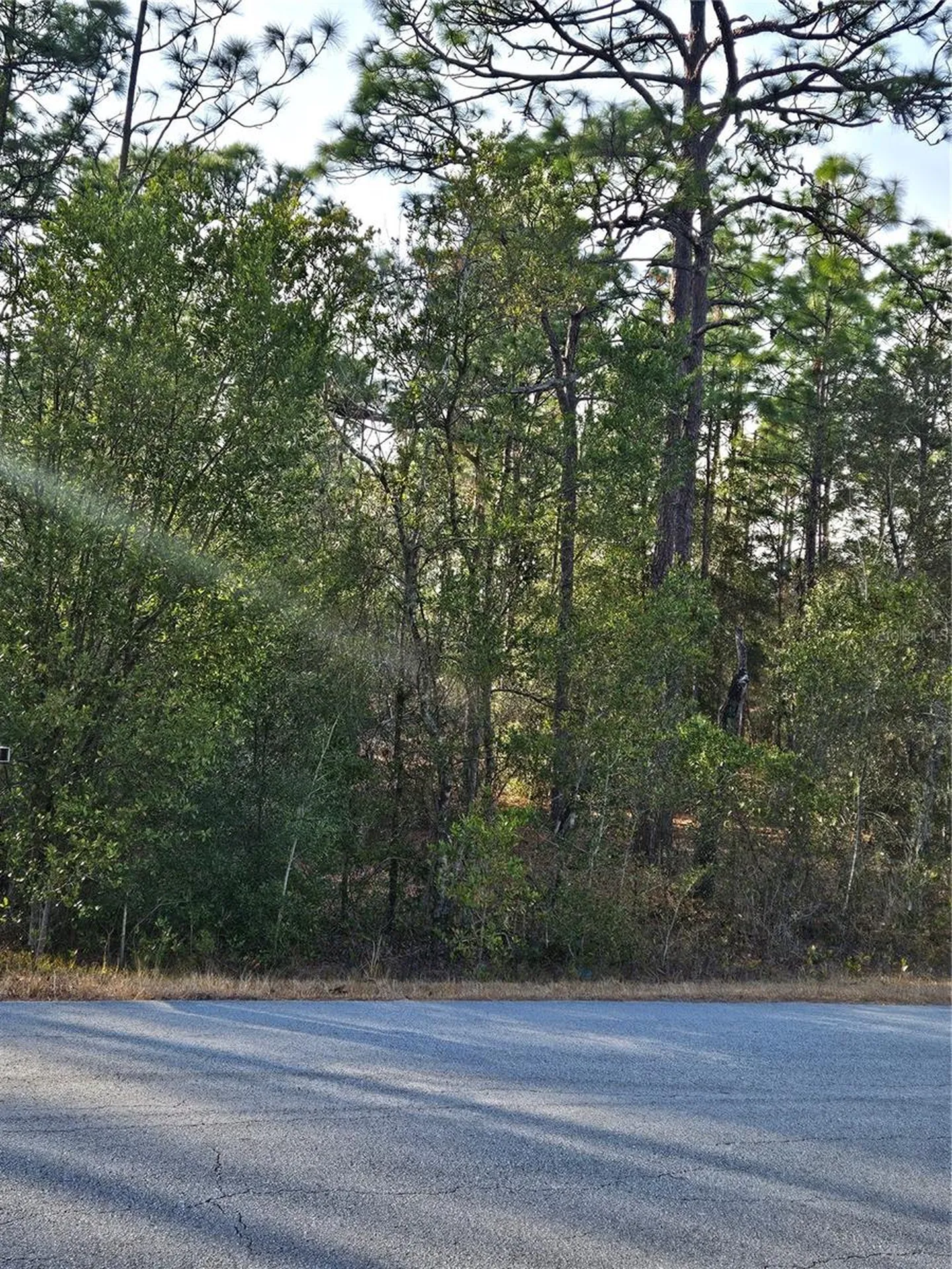 SW Admiral Landing Drive Dunnellon FL 34431