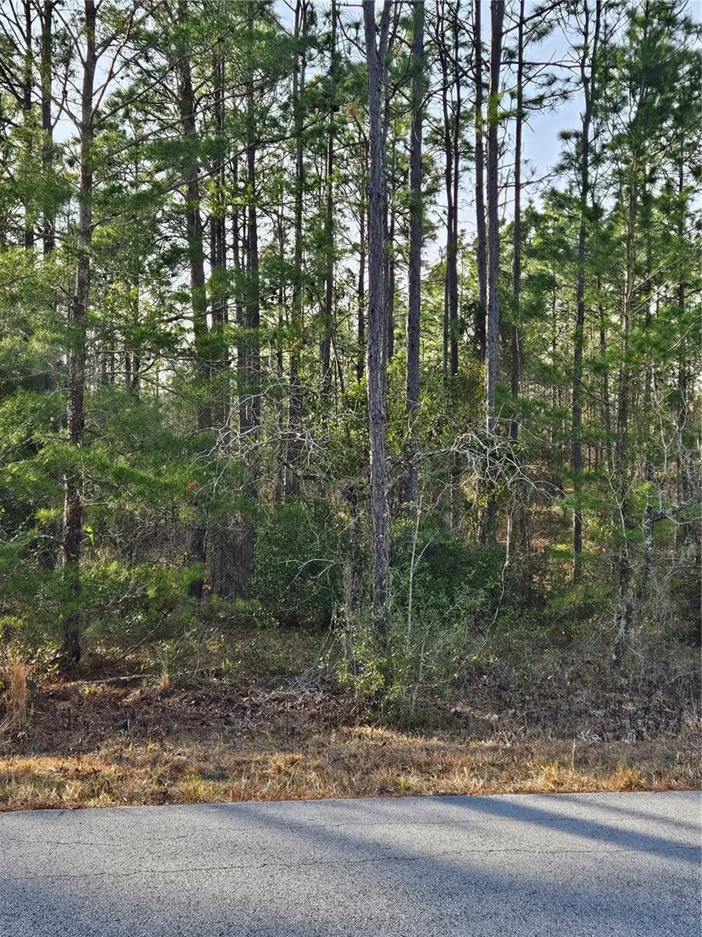 SW Admiral Landing Drive Dunnellon FL 34431