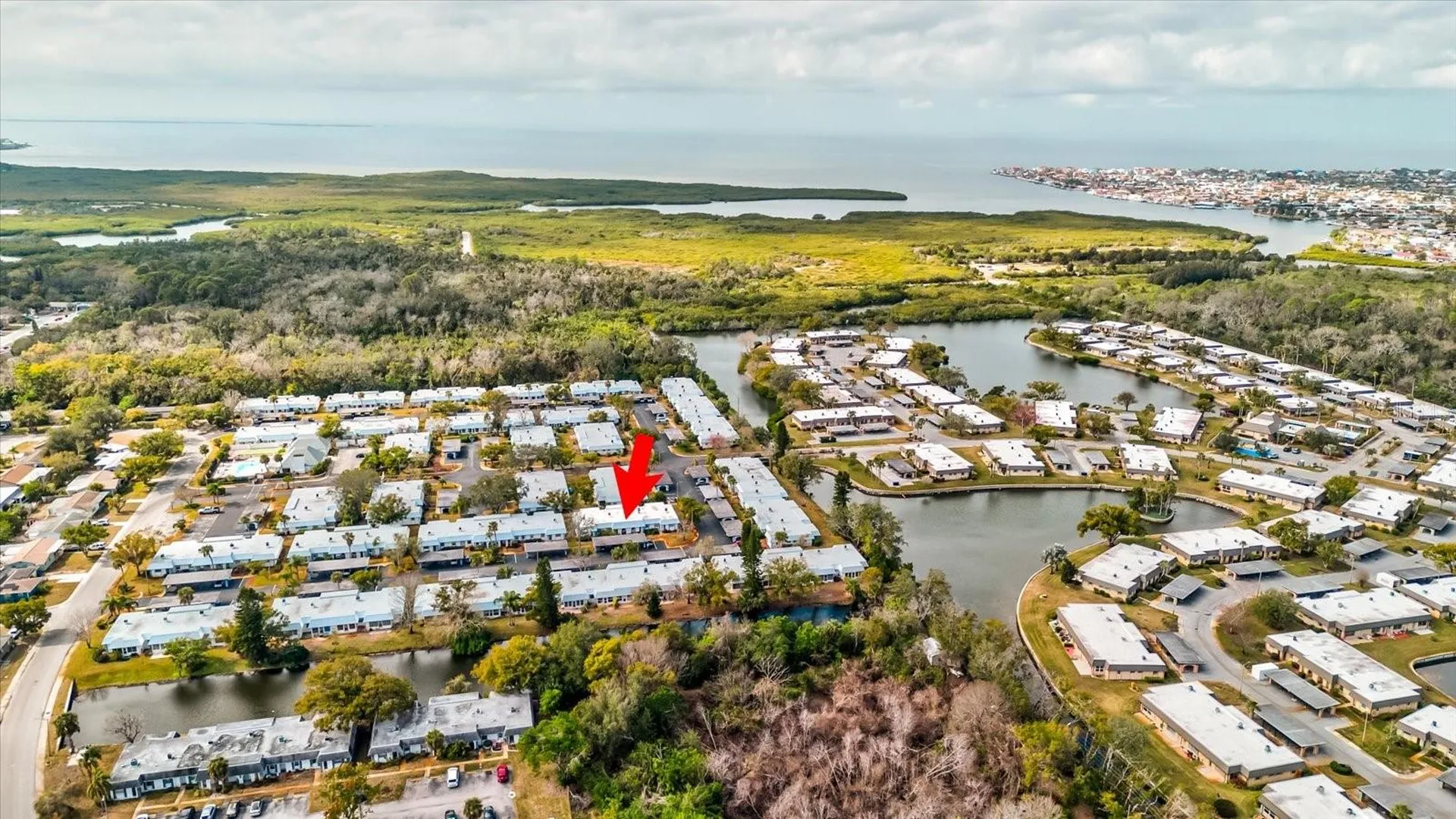4231 Tamargo Drive New Port Richey FL 34652