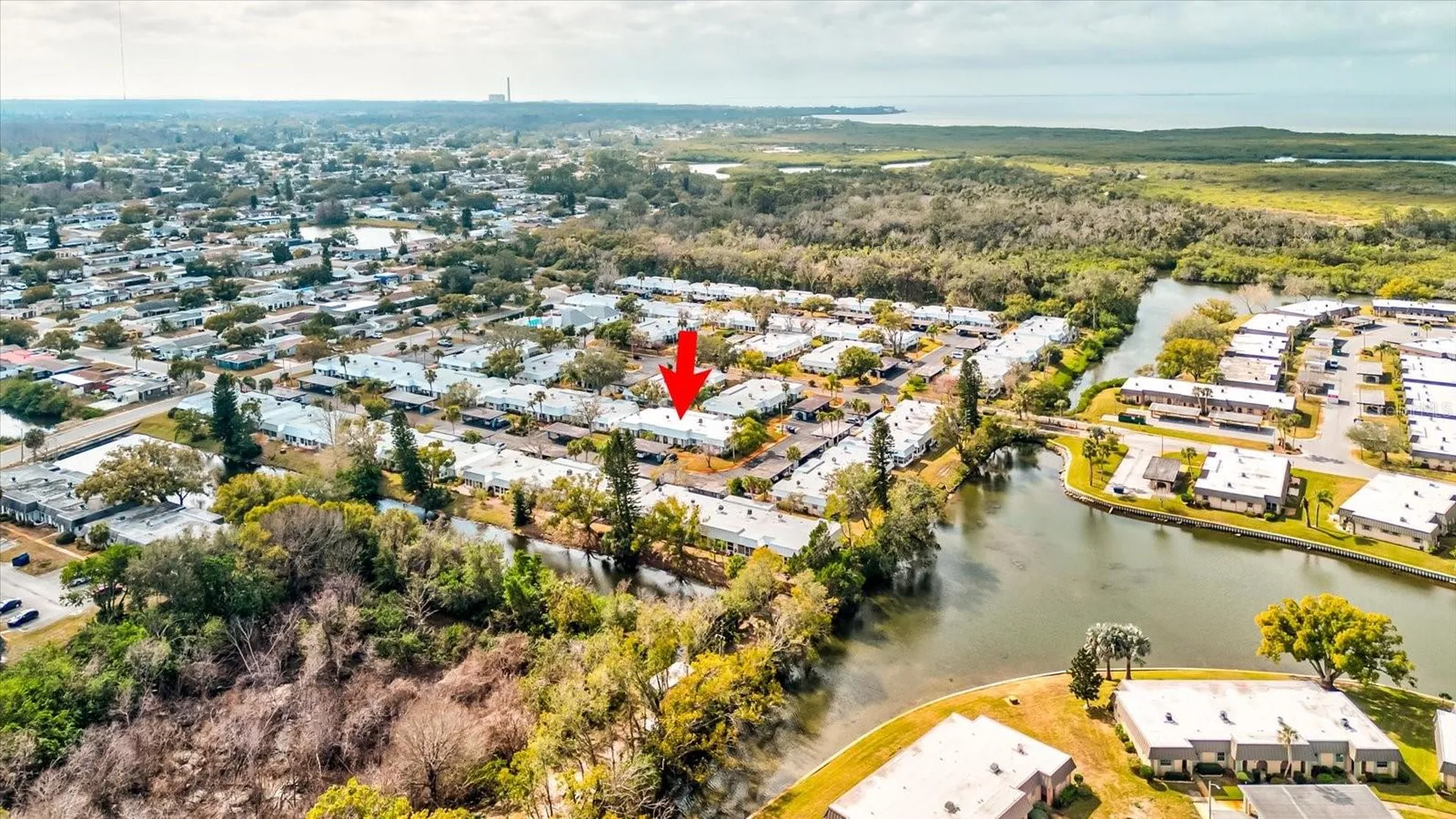 4231 Tamargo Drive New Port Richey FL 34652