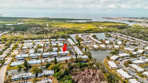 4231 Tamargo Drive New Port Richey FL 34652