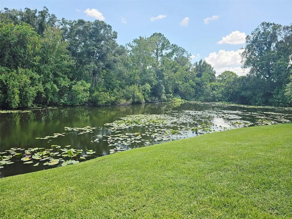 2067 Hunters Glen Drive Dunedin FL 34698