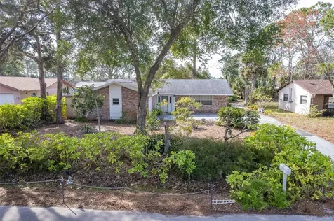 3120 Pine Tree Drive Edgewater FL 32141