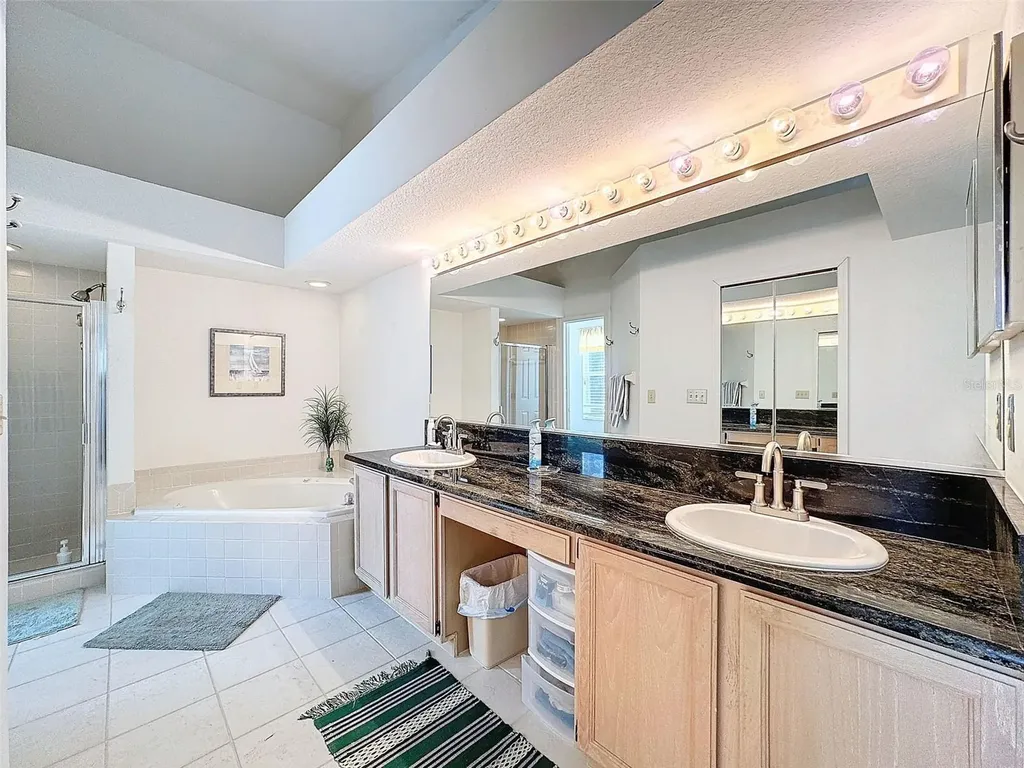 1203 Clays Trail Oldsmar FL 34677