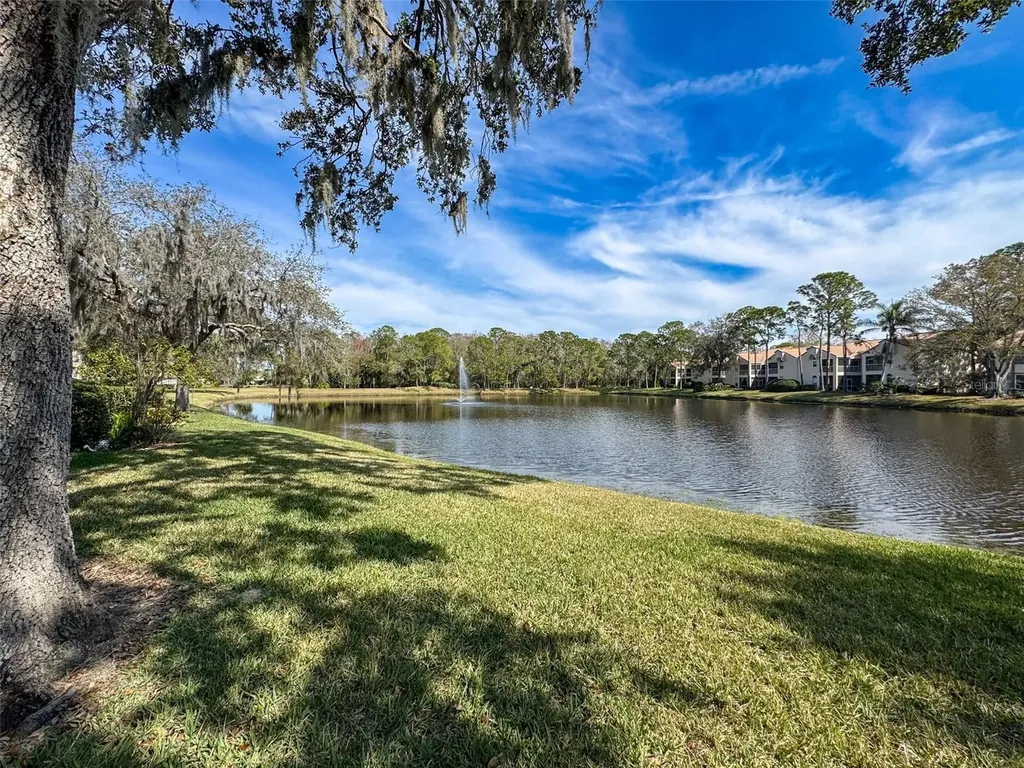 1203 Clays Trail Oldsmar FL 34677