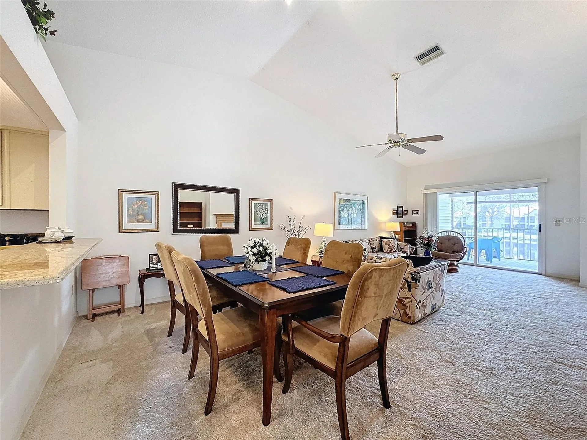 1203 Clays Trail Oldsmar FL 34677