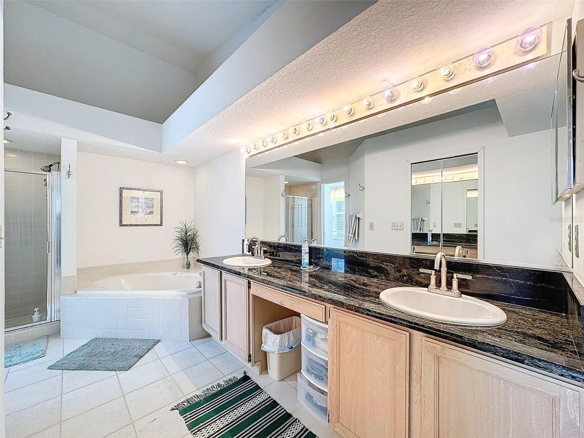 1203 Clays Trail Oldsmar FL 34677