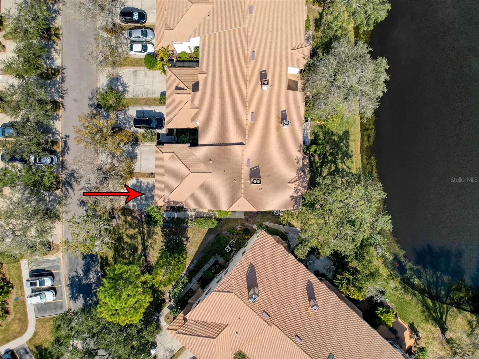 1203 Clays Trail Oldsmar FL 34677